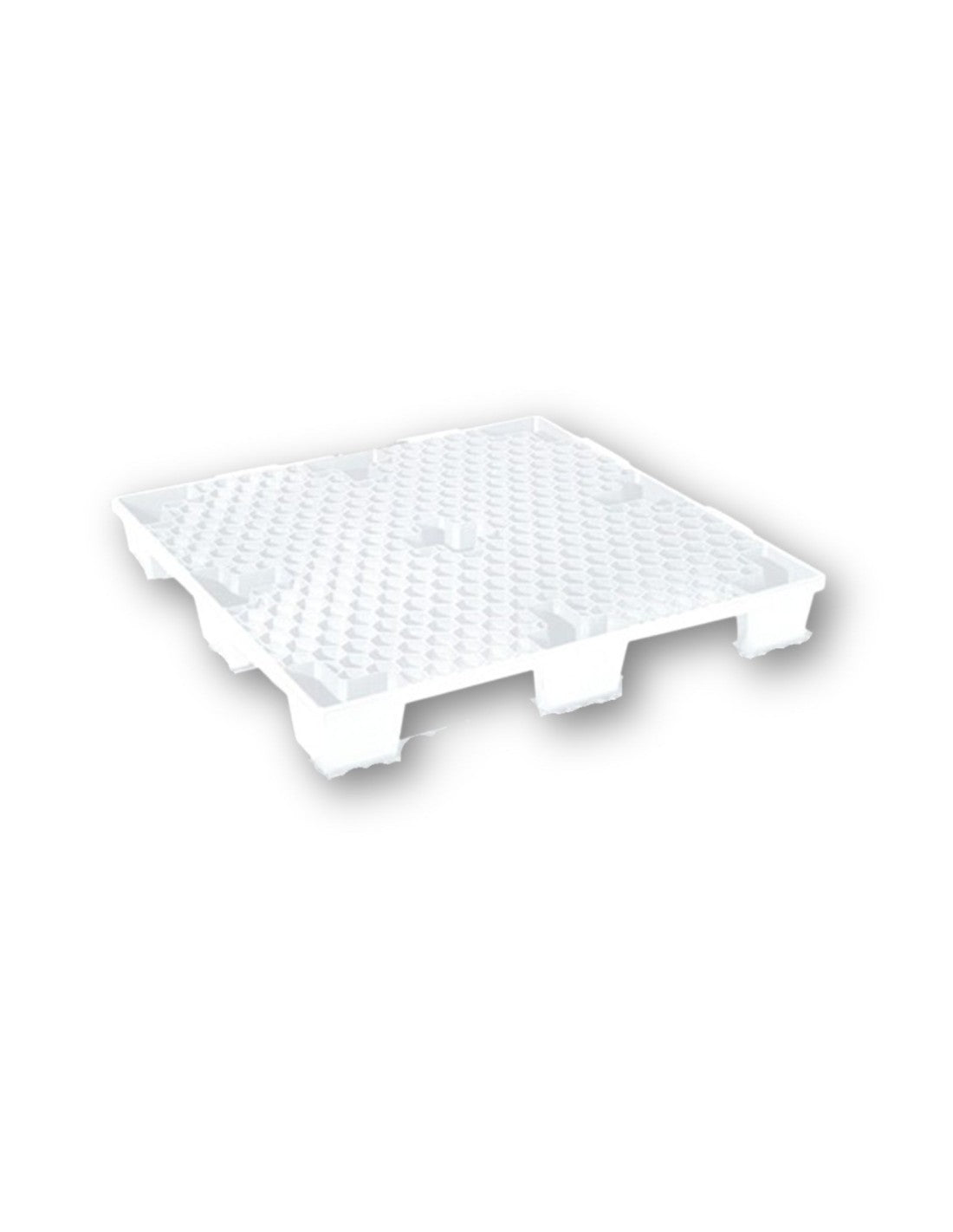 Pallet in plastica forato export MyA Martini Alfredo