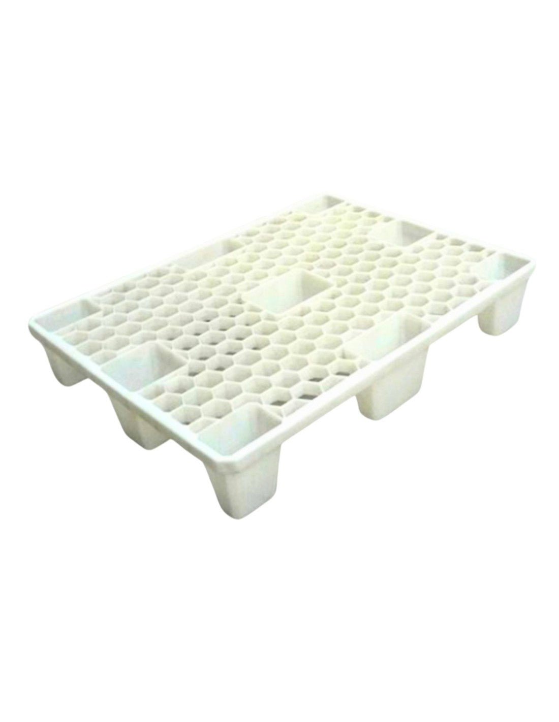 Pallet in plastica forato export MyA Martini Alfredo