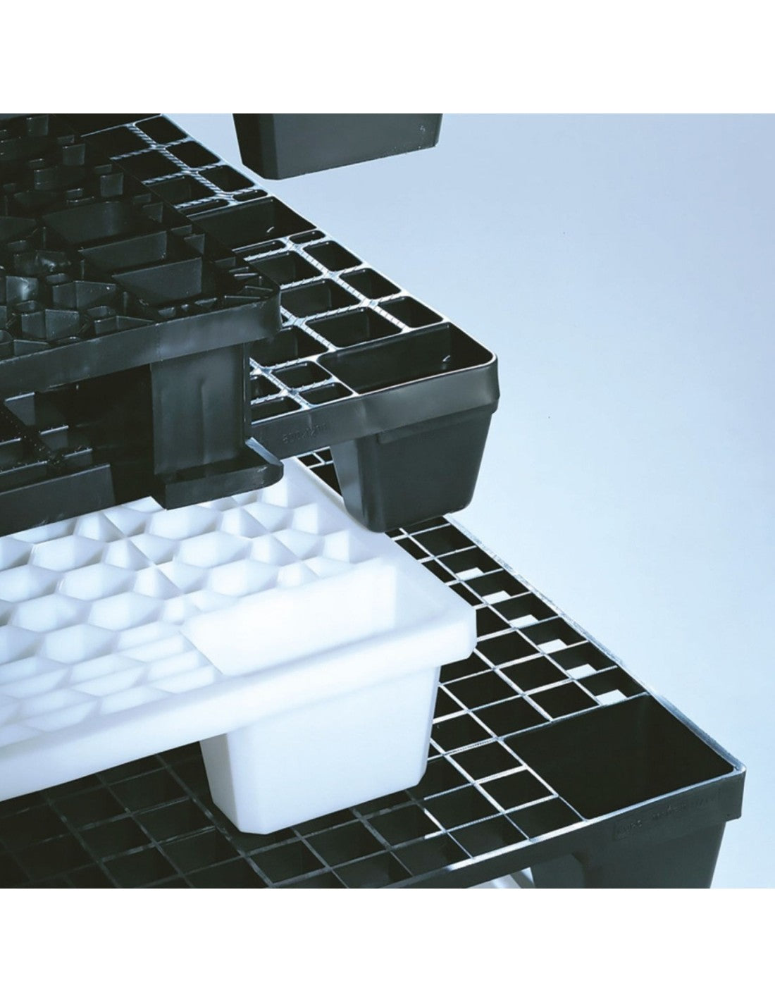 Pallet in plastica forato export MyA Martini Alfredo